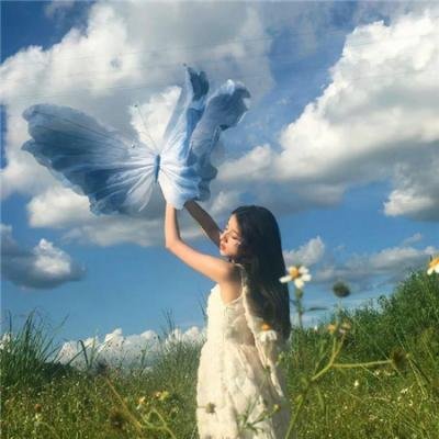 幸运狗狗来造访